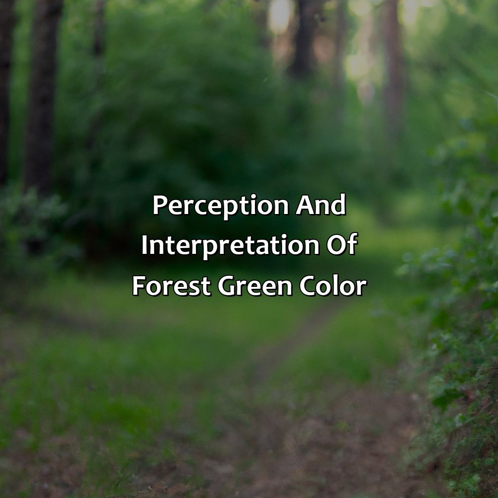 Perception And Interpretation Of Forest Green Color  - What Color Is Forest Green, 