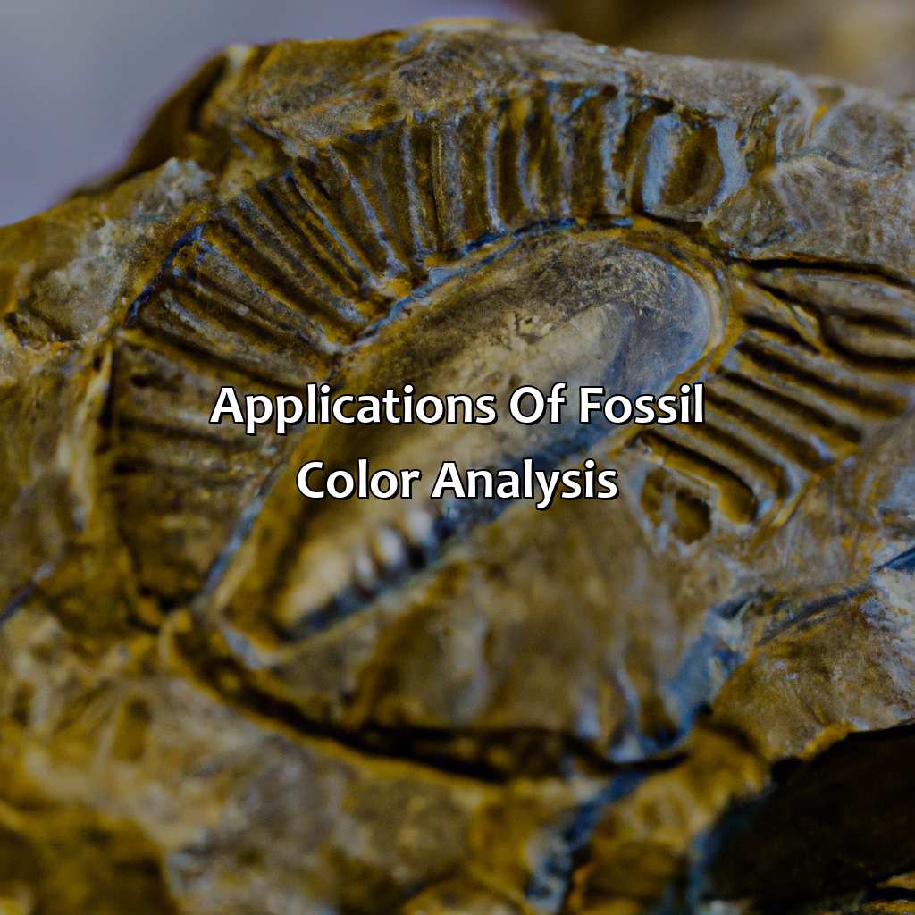 Applications Of Fossil Color Analysis  - What Color Is Fossil, 