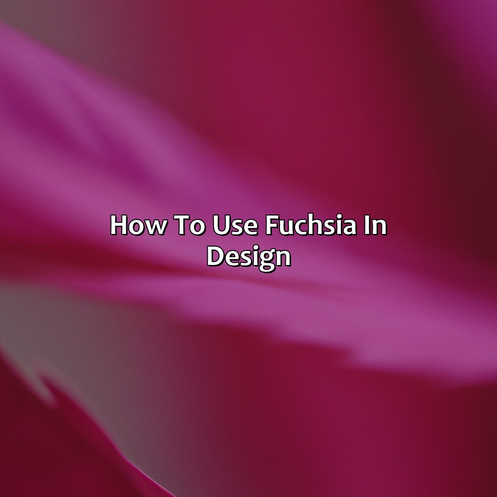 How To Use Fuchsia In Design  - What Color Is Fuchsia, 