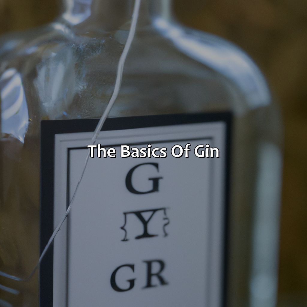 The Basics Of Gin  - What Color Is Gin, 