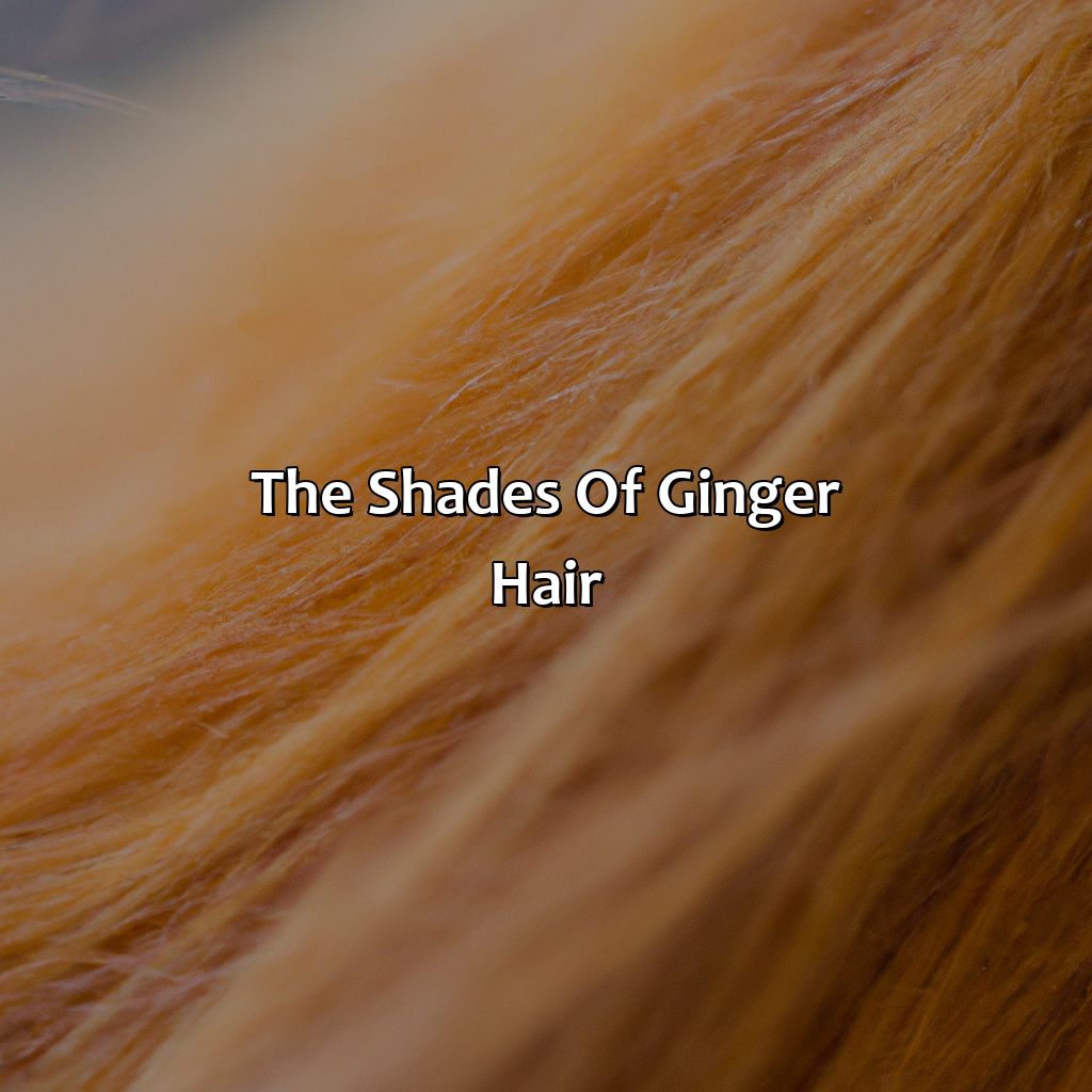The Shades Of Ginger Hair  - What Color Is Ginger Hair, 