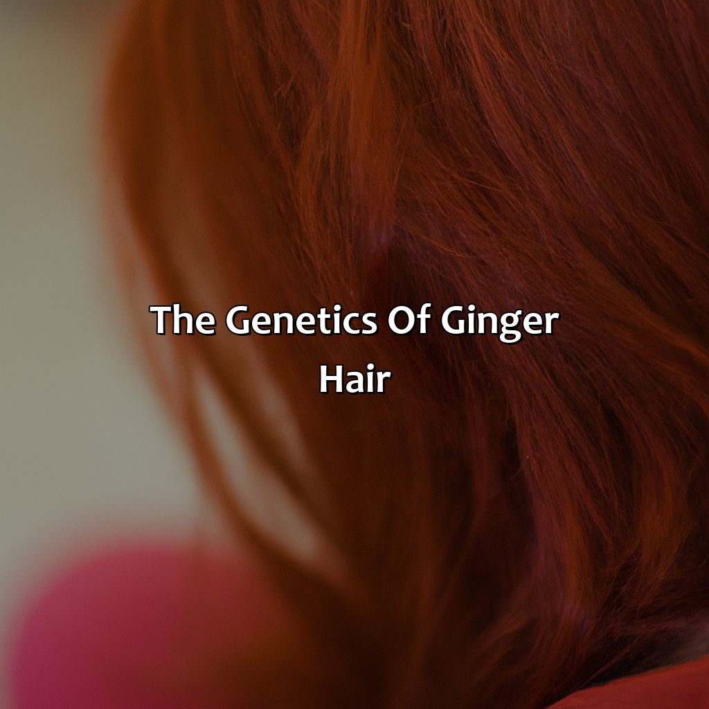 The Genetics Of Ginger Hair  - What Color Is Ginger Hair, 