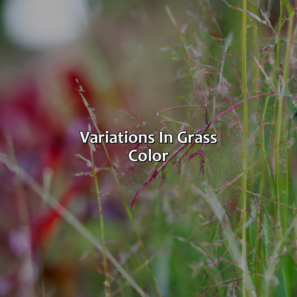 Variations In Grass Color  - What Color Is Grass, 