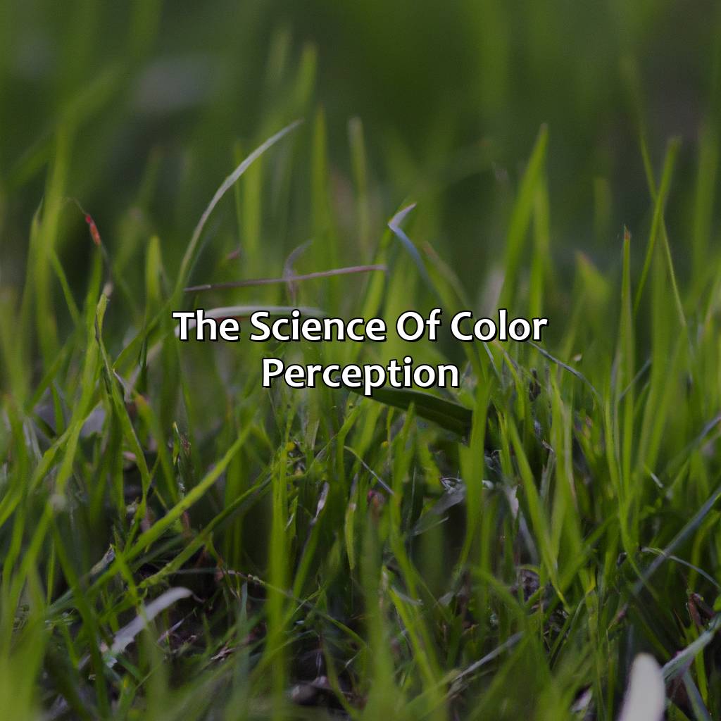 The Science Of Color Perception  - What Color Is Grass, 