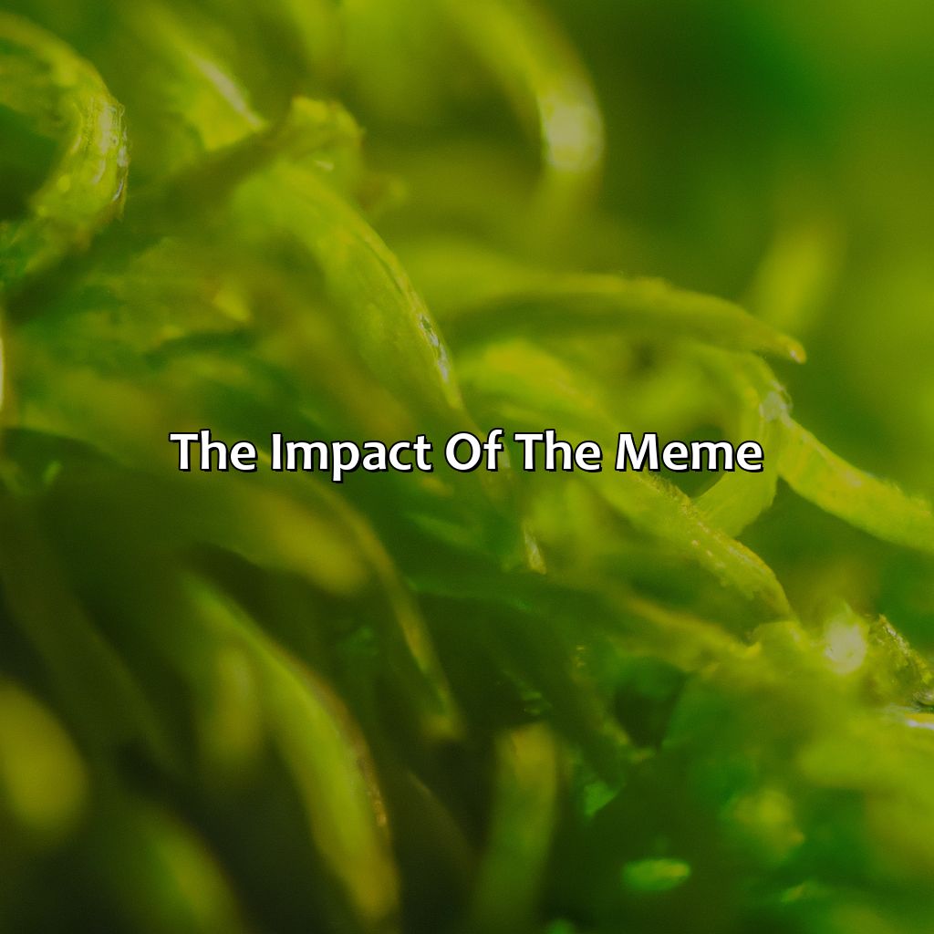 The Impact Of The Meme  - What Color Is Green Meme, 