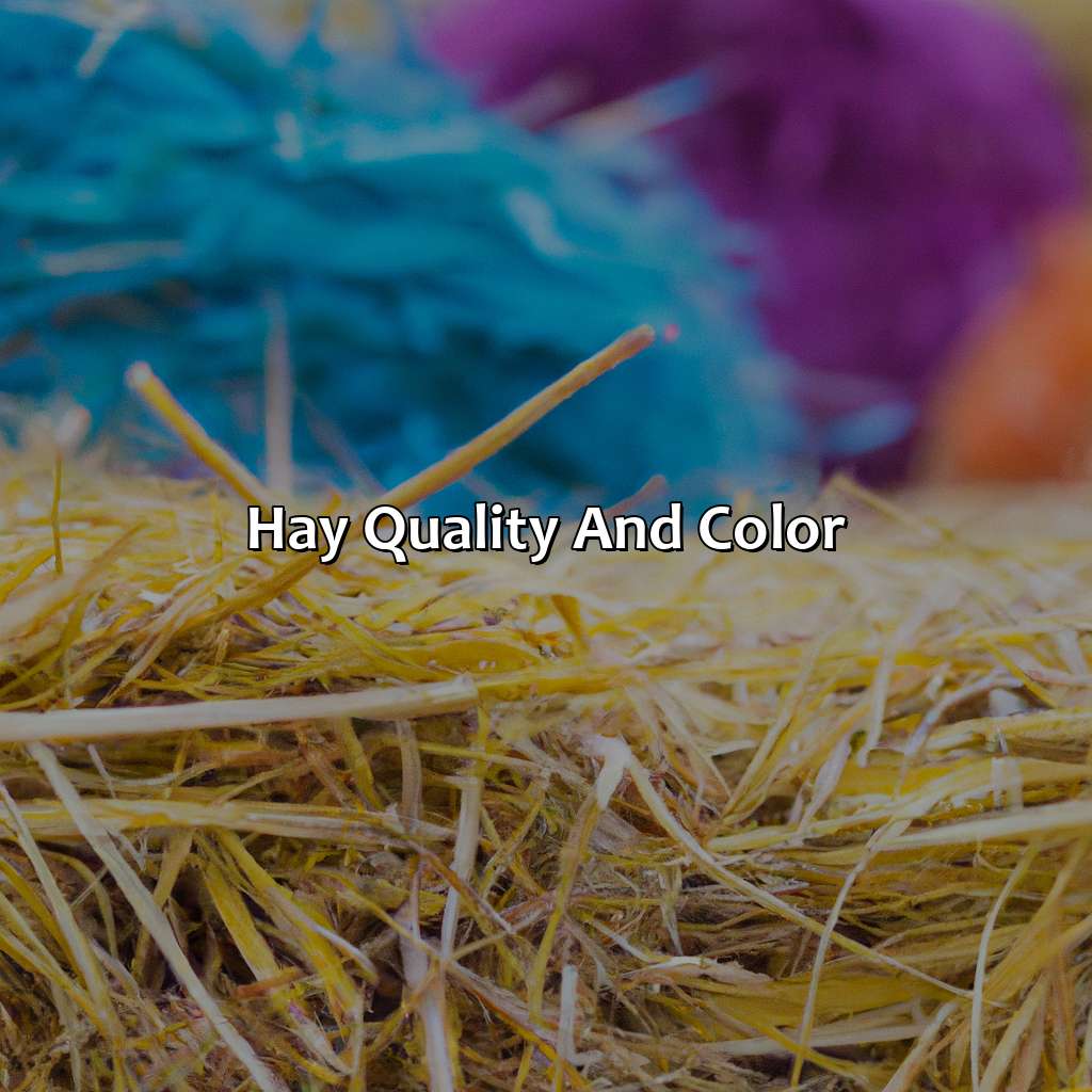 Hay Quality And Color - What Color Is Hay, 