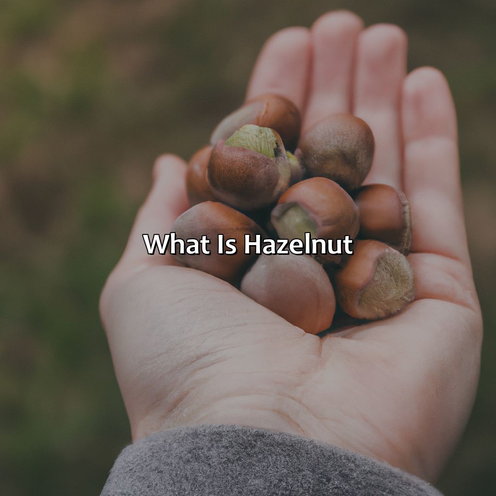 What Is Hazelnut?  - What Color Is Hazelnut, 