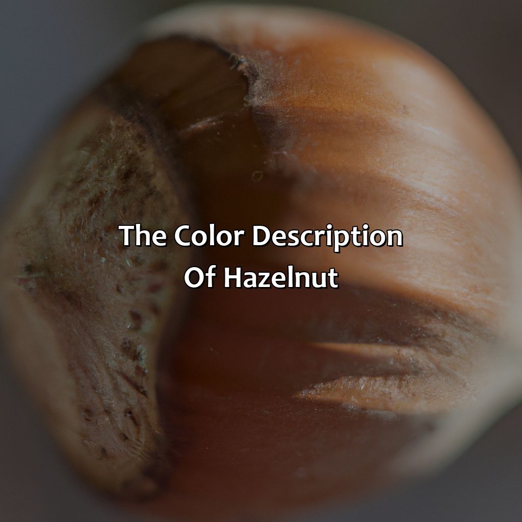 The Color Description Of Hazelnut  - What Color Is Hazelnut, 