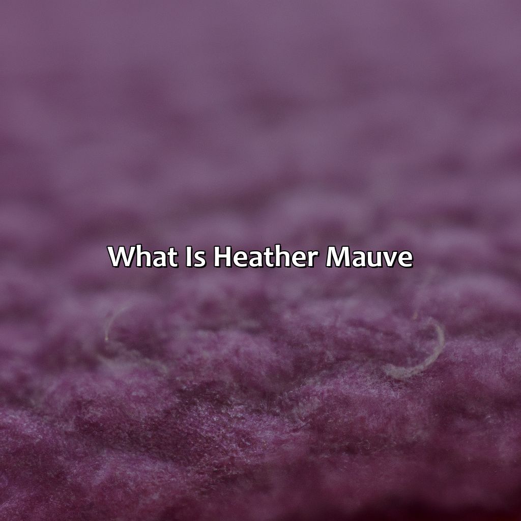 What Is Heather Mauve?  - What Color Is Heather Mauve, 