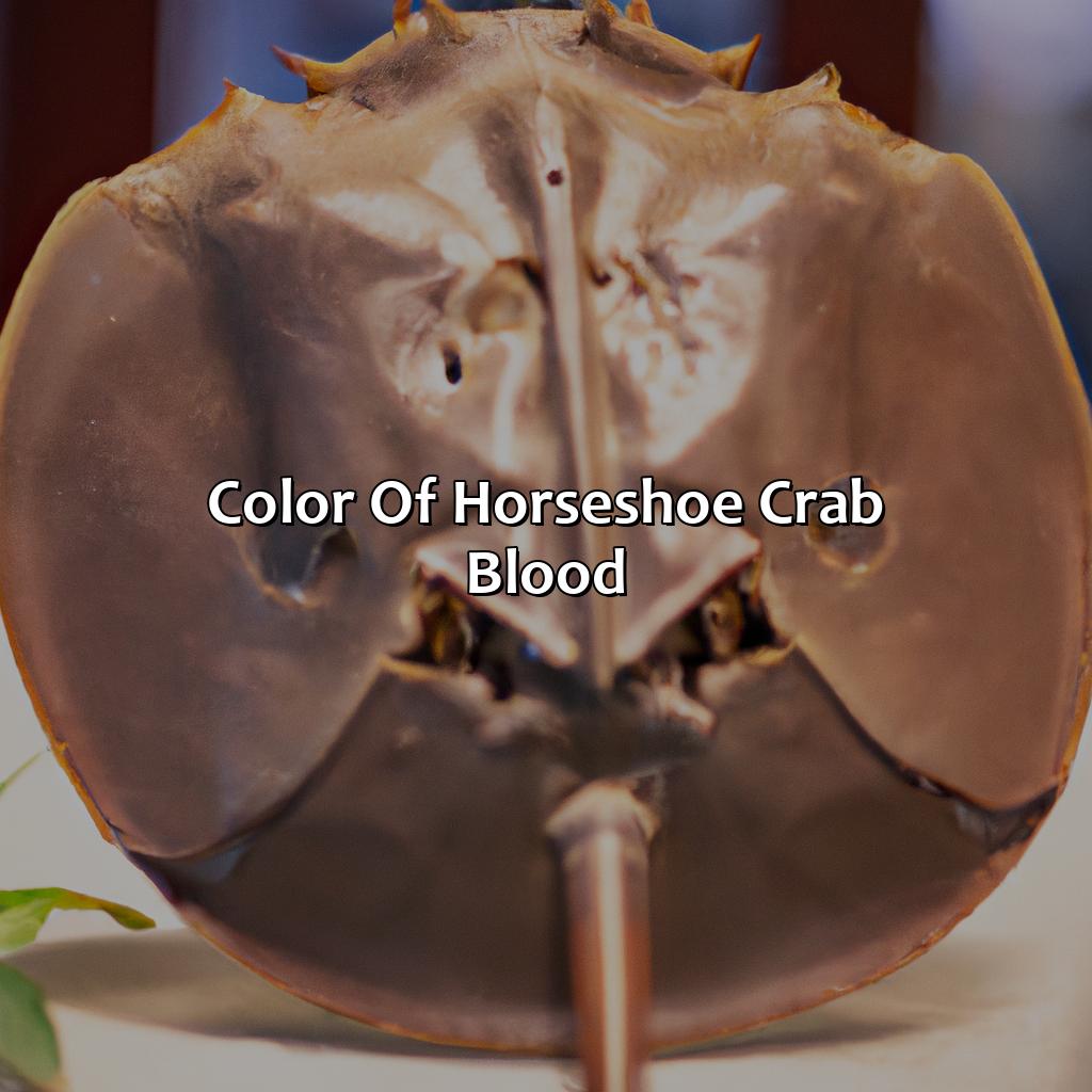 Color Of Horseshoe Crab Blood  - What Color Is Horseshoe Crab Blood, 