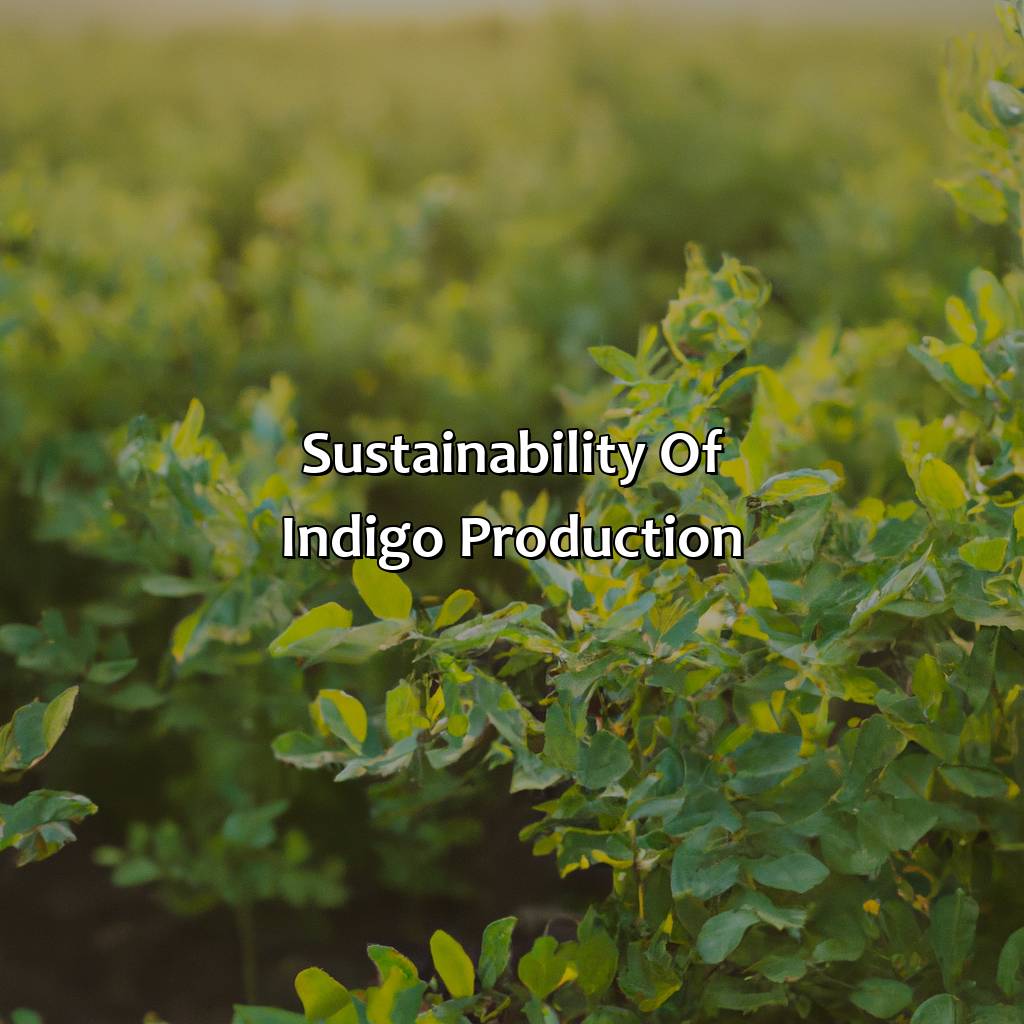 Sustainability Of Indigo Production  - What Color Is Indigo, 