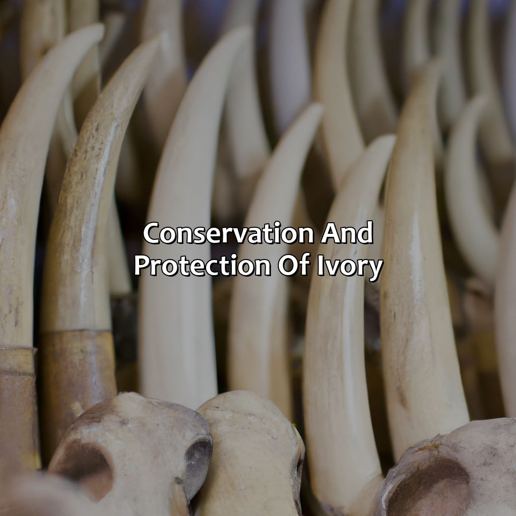 Conservation And Protection Of Ivory  - What Color Is Ivory, 