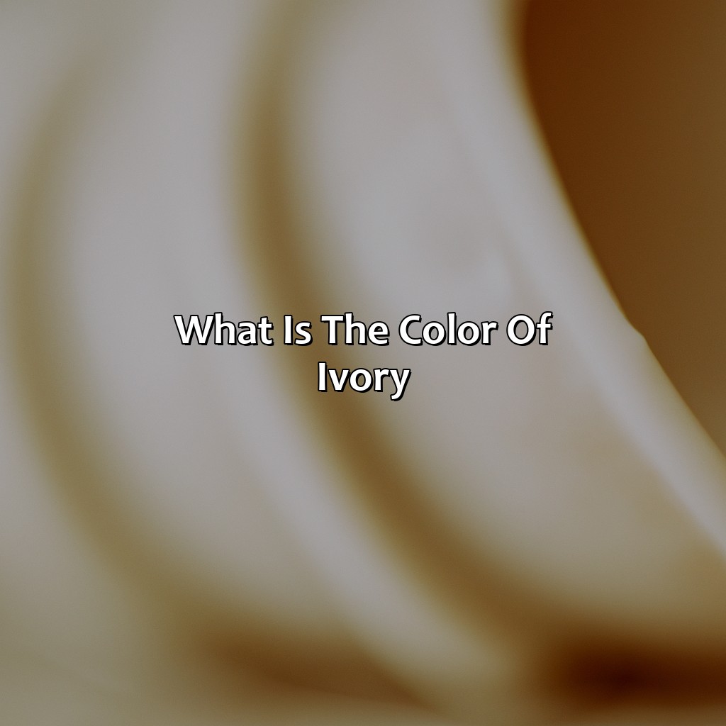 What Is The Color Of Ivory?  - What Color Is Ivory, 