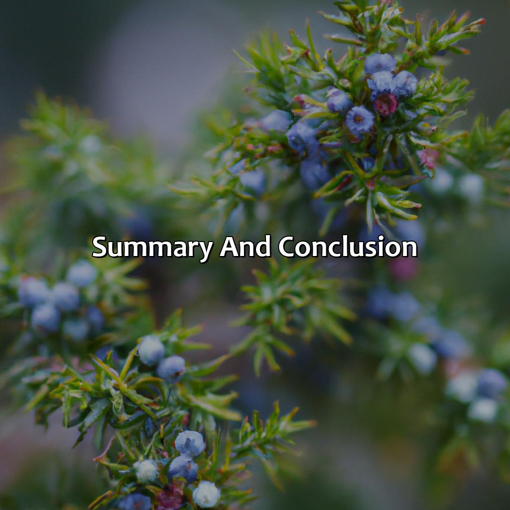 Summary And Conclusion  - What Color Is Juniper, 