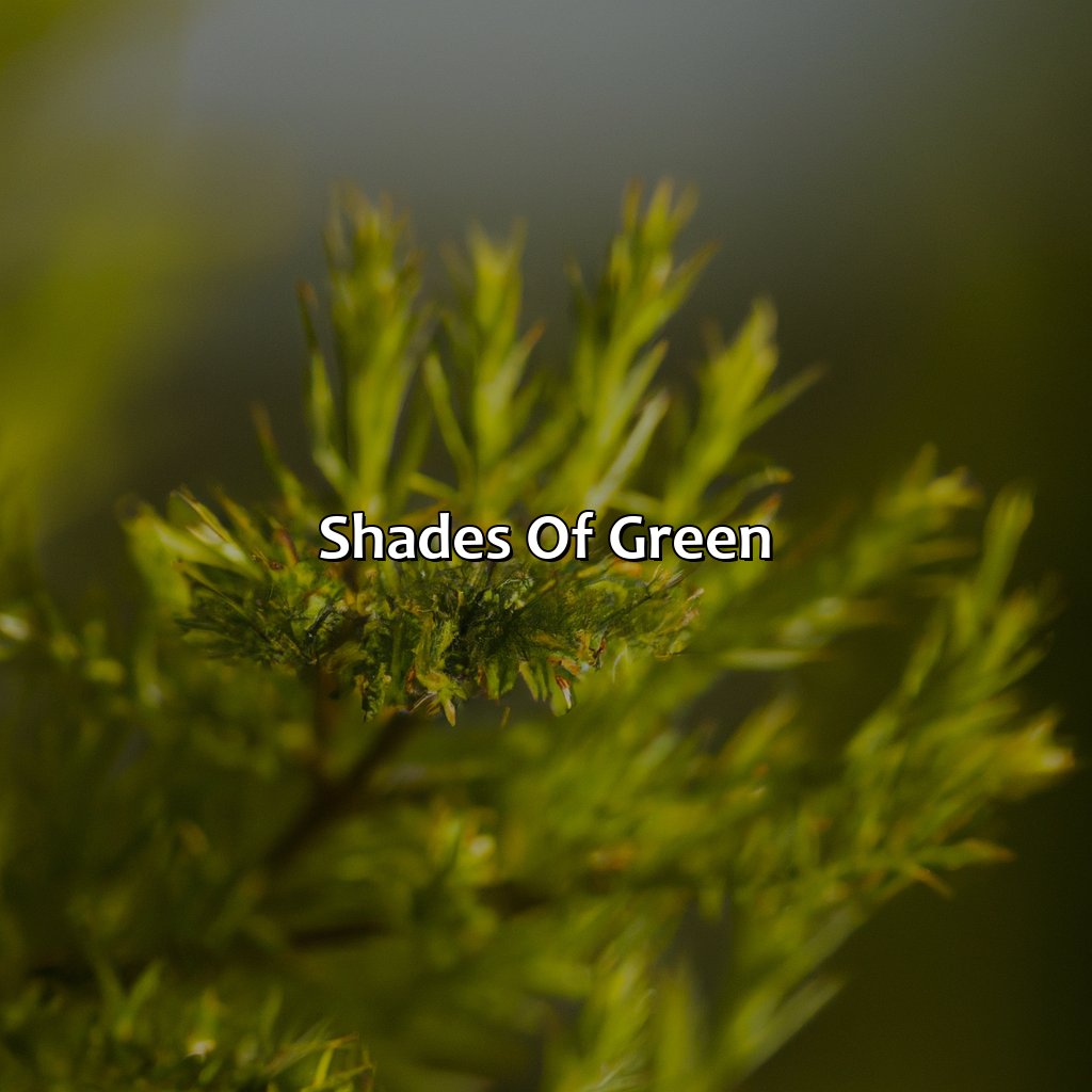 Shades Of Green  - What Color Is Kelly Green, 
