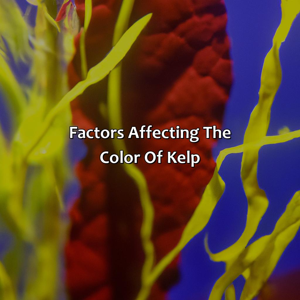Factors Affecting The Color Of Kelp - What Color Is Kelp, 
