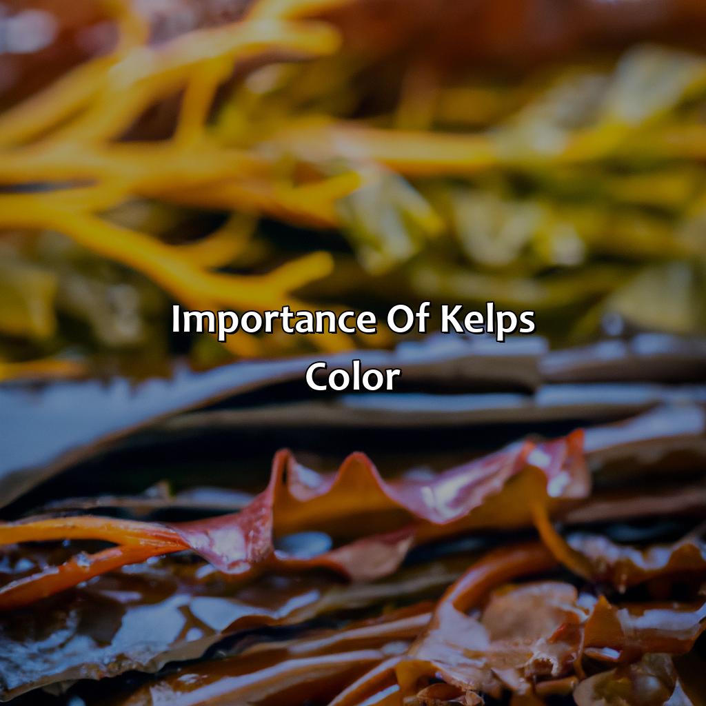 Importance Of Kelp