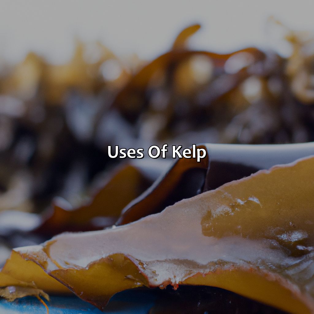 Uses Of Kelp - What Color Is Kelp, 