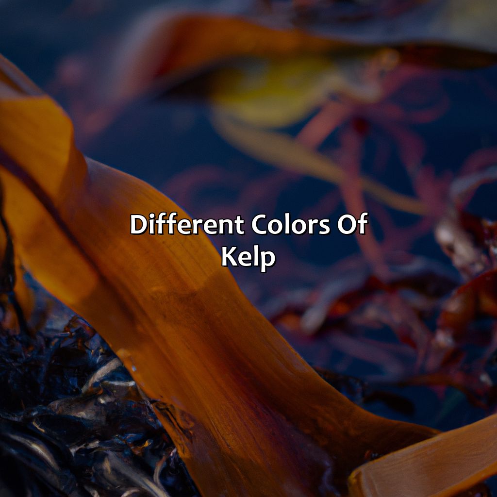Different Colors Of Kelp - What Color Is Kelp, 