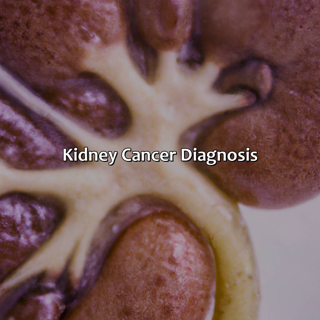 Kidney Cancer Diagnosis  - What Color Is Kidney Cancer, 