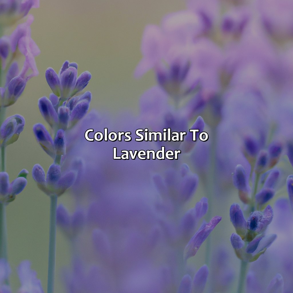 Colors Similar To Lavender  - What Color Is Lavender, 