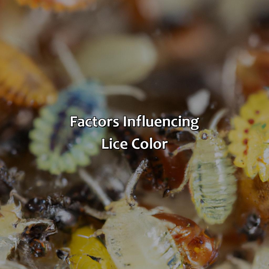Factors Influencing Lice Color  - What Color Is Lice, 