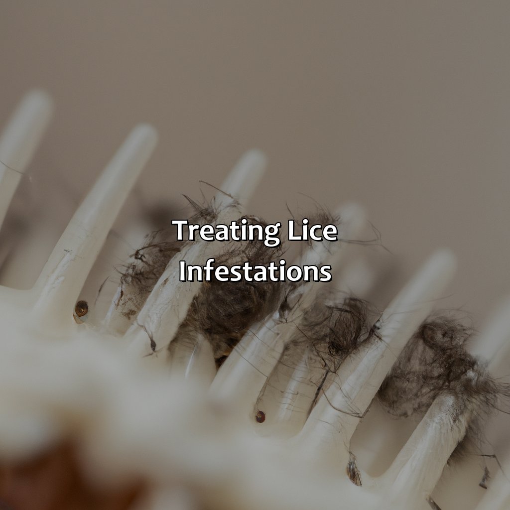 Treating Lice Infestations  - What Color Is Lice, 