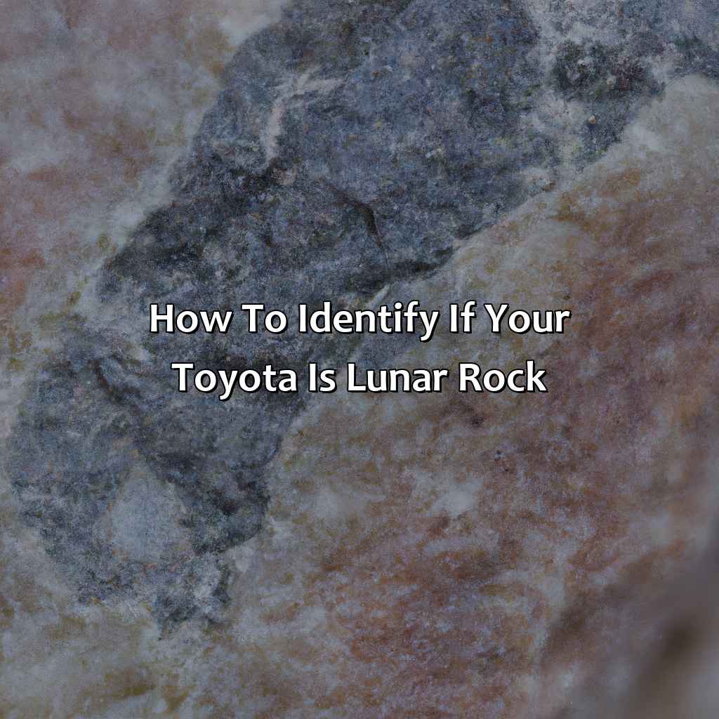 How To Identify If Your Toyota Is Lunar Rock?  - What Color Is Lunar Rock Toyota, 