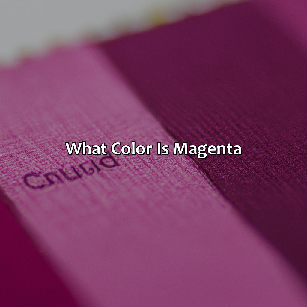 What Color Is Magenta - colorscombo.com