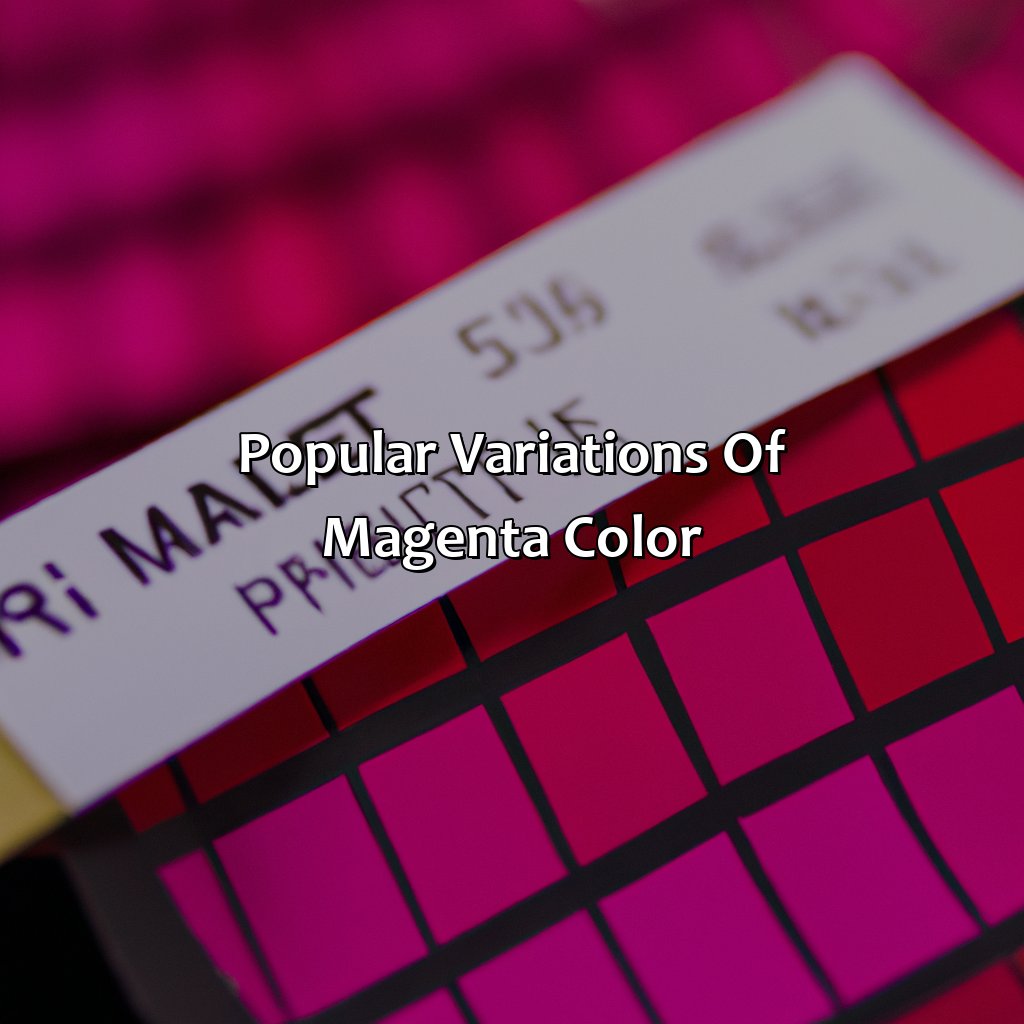 Popular Variations Of Magenta Color  - What Color Is Magenta, 