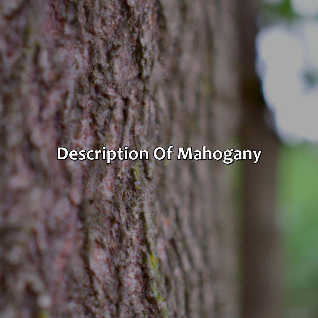 Description Of Mahogany  - What Color Is Mahogany, 