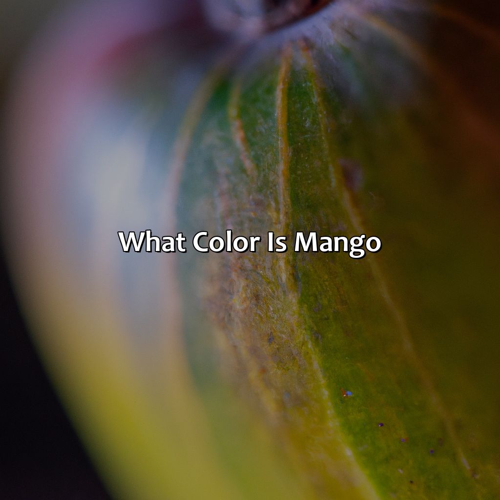 What Color Is Mango? - What Color Is Mango, 