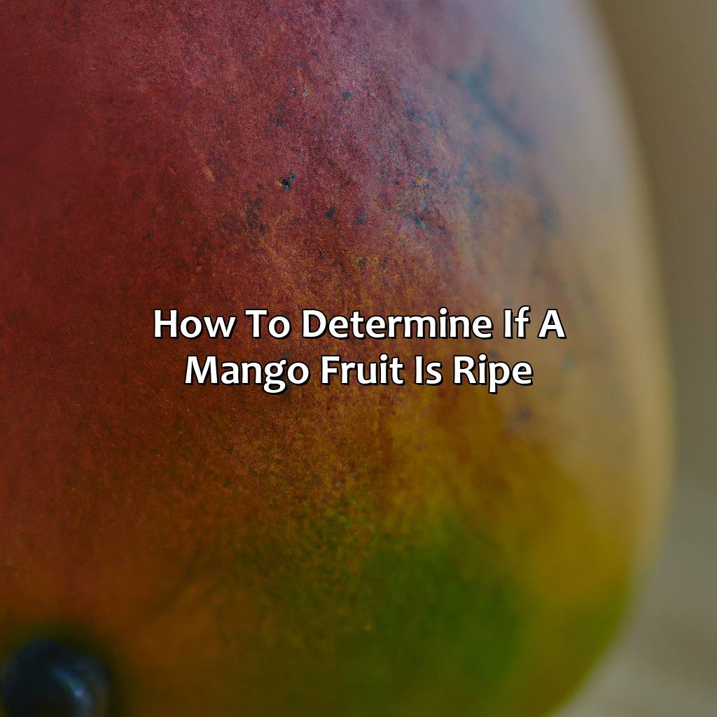 How To Determine If A Mango Fruit Is Ripe - What Color Is Mango, 