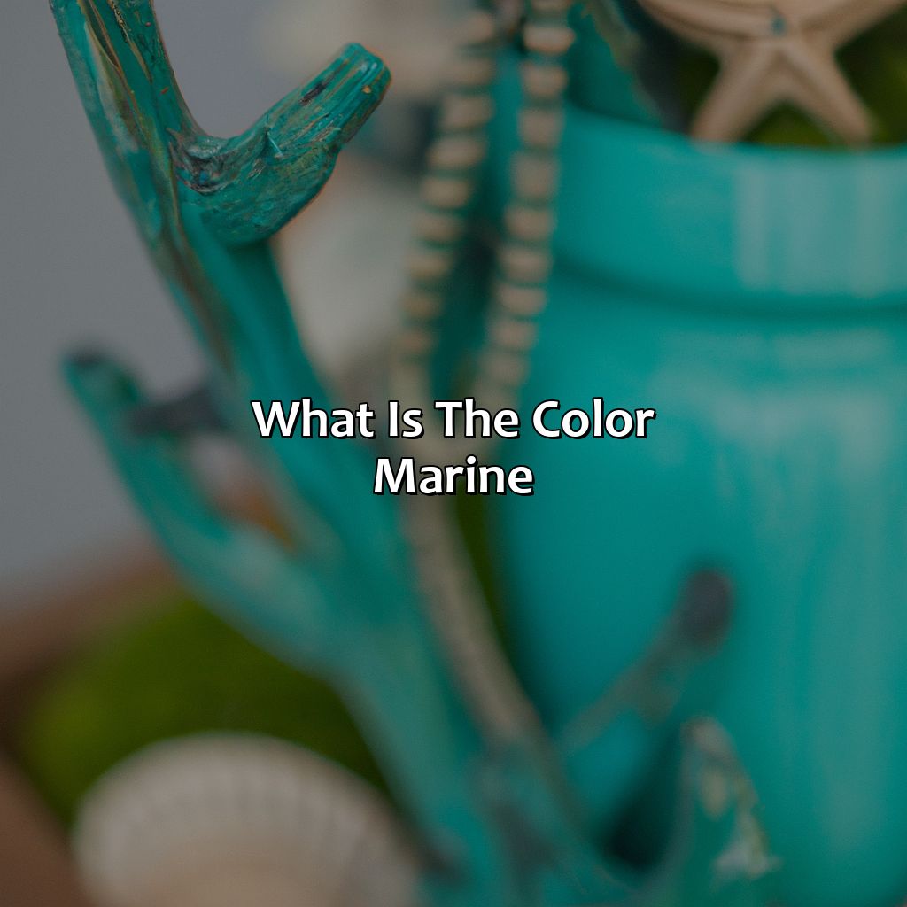 What Is The Color Marine?  - What Color Is Marine, 