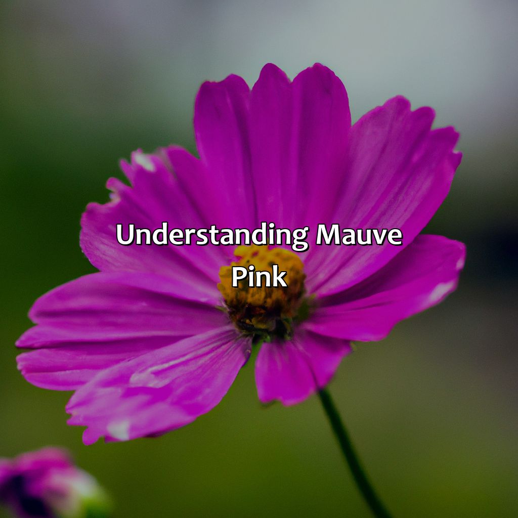 Understanding Mauve Pink  - What Color Is Mauve Pink, 