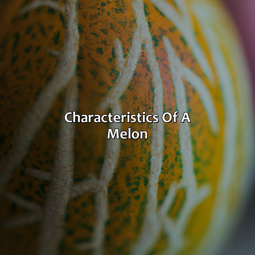 Characteristics Of A Melon  - What Color Is Melon, 