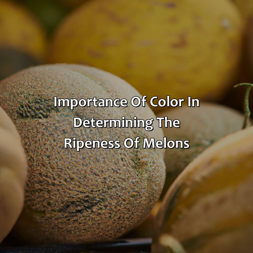 Importance Of Color In Determining The Ripeness Of Melons  - What Color Is Melon, 