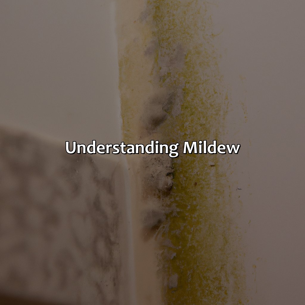 Understanding Mildew  - What Color Is Mildew, 