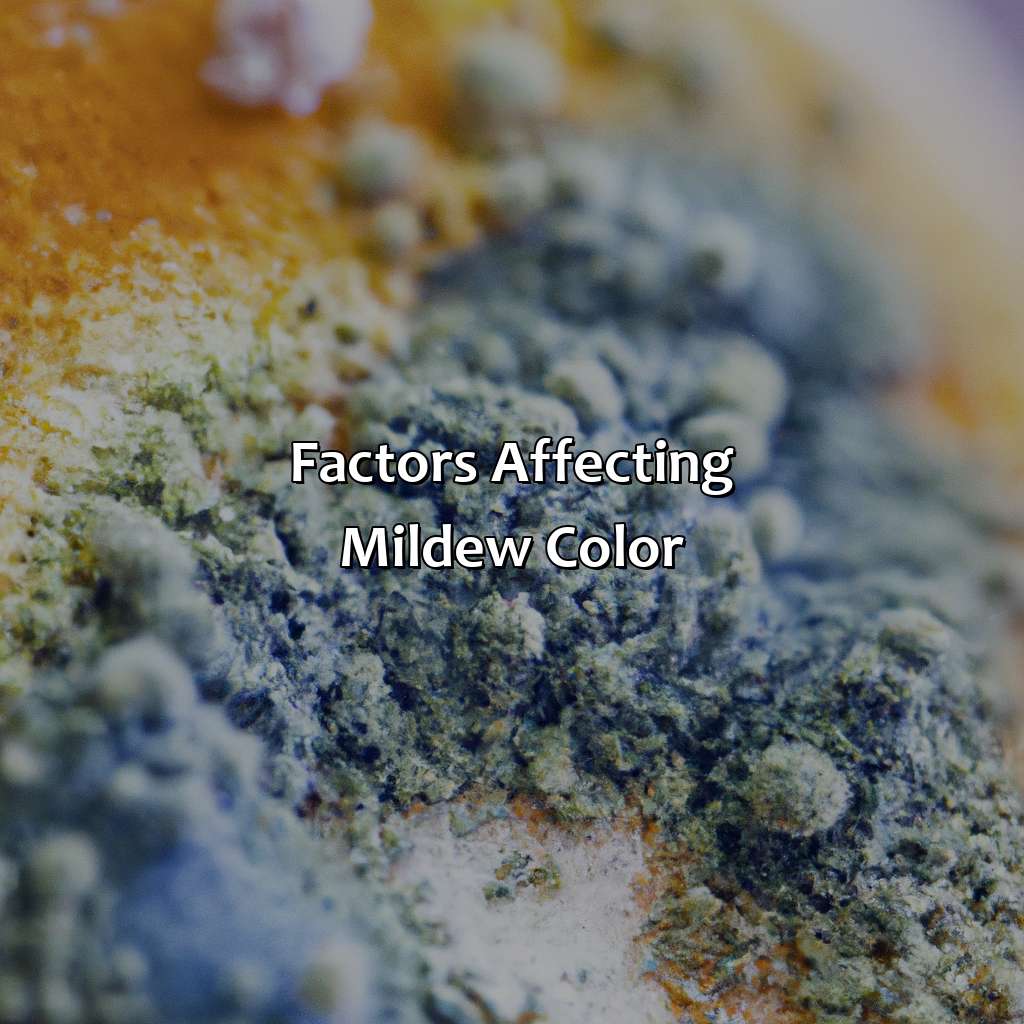 Factors Affecting Mildew Color  - What Color Is Mildew, 