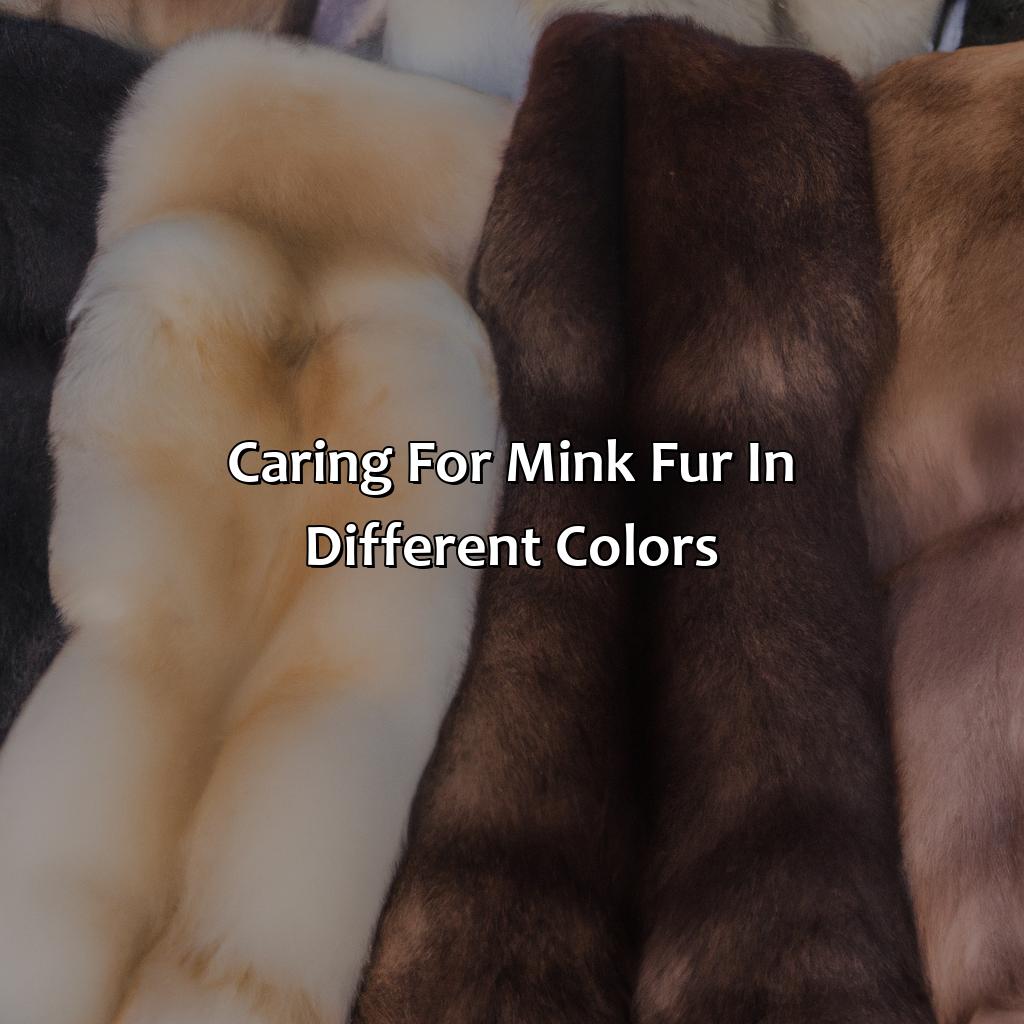 Caring For Mink Fur In Different Colors  - What Color Is Mink, 