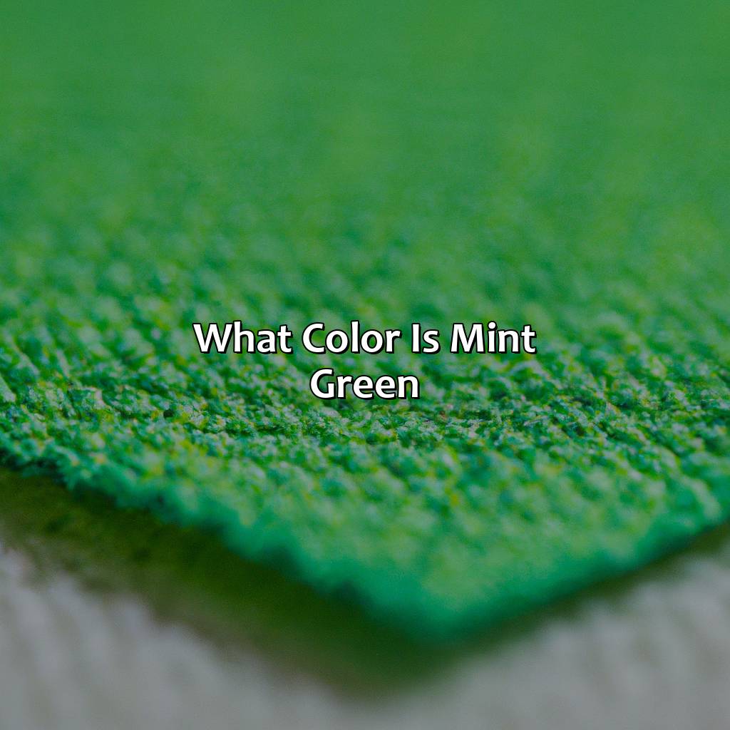 What Color Is Mint Green - colorscombo.com