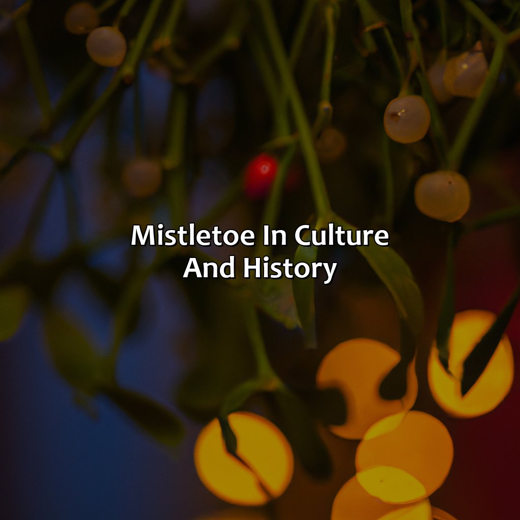 Mistletoe In Culture And History  - What Color Is Mistletoe, 