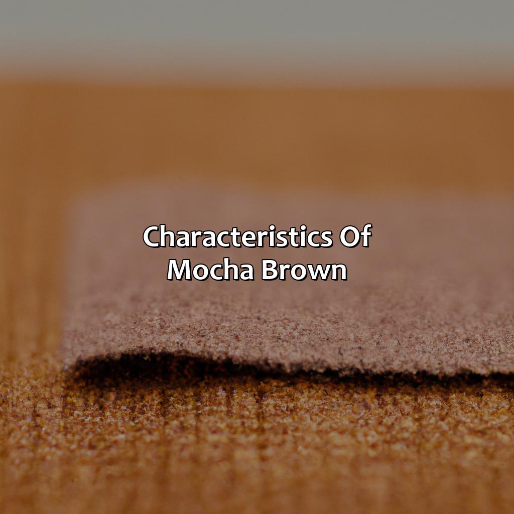 Characteristics Of Mocha Brown  - What Color Is Mocha Brown, 