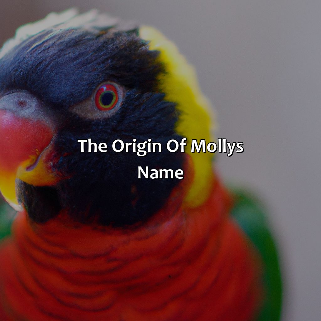 The Origin Of Molly