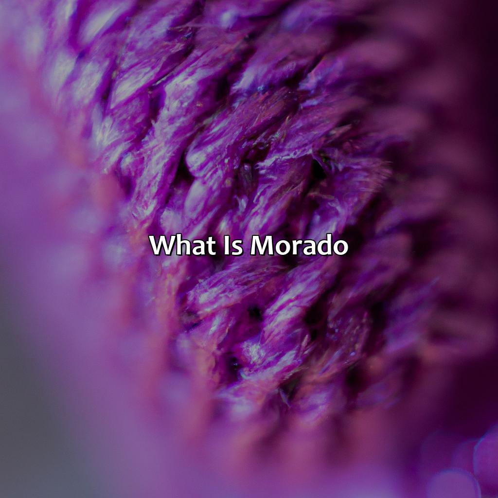 What Is Morado?  - What Color Is Morado, 
