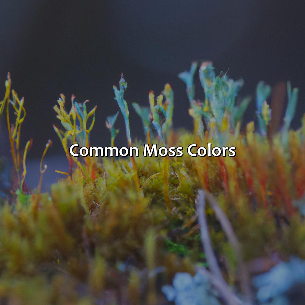 Common Moss Colors  - What Color Is Moss, 