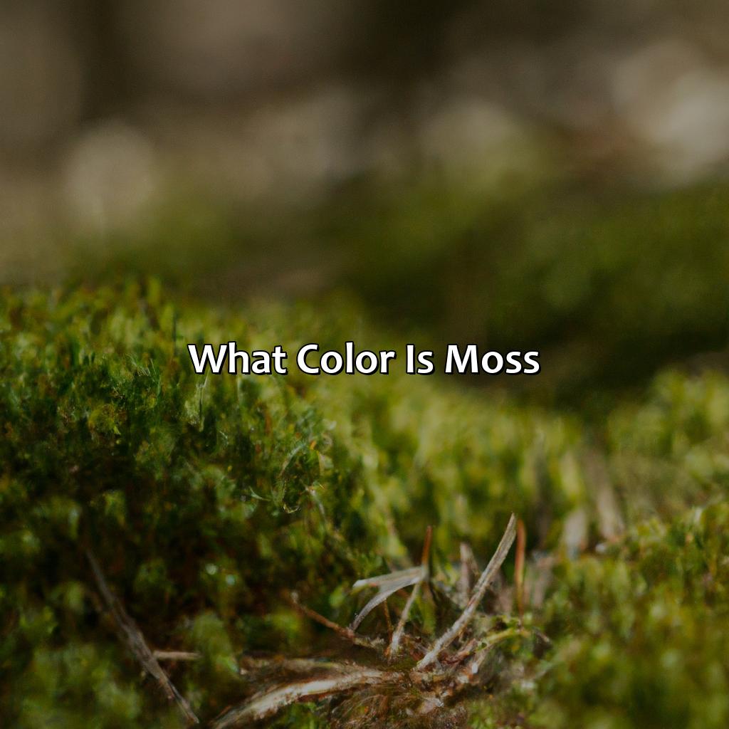 What Color Is Moss - colorscombo.com