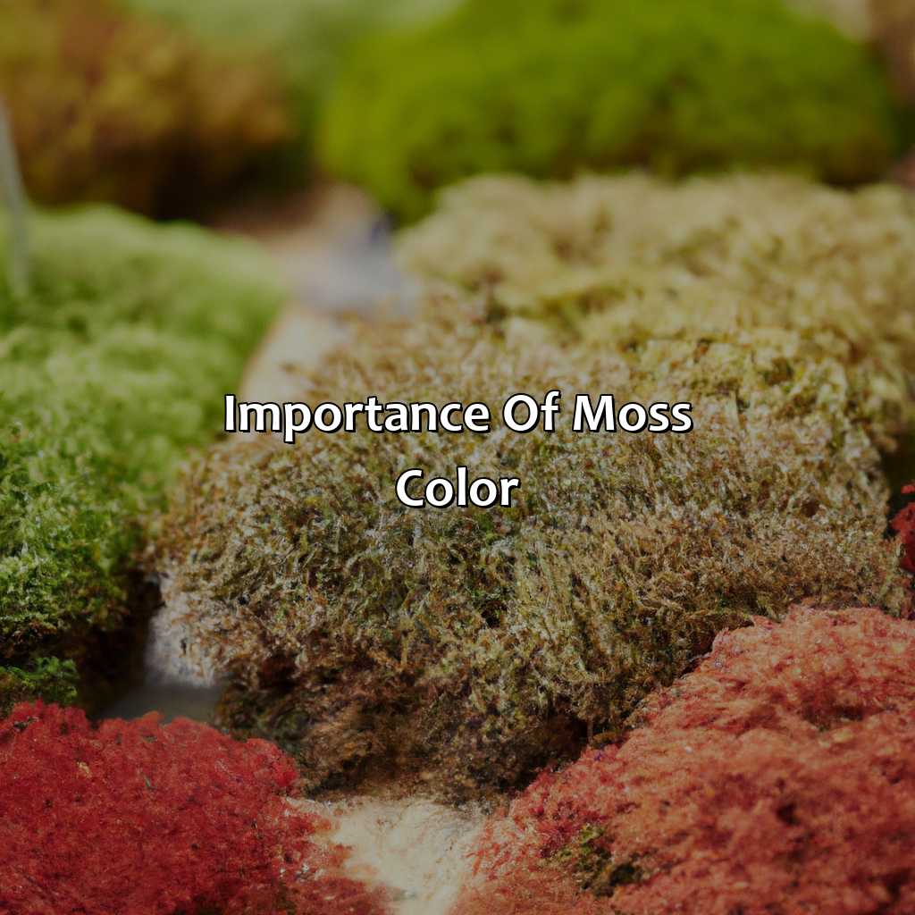 Importance Of Moss Color  - What Color Is Moss, 