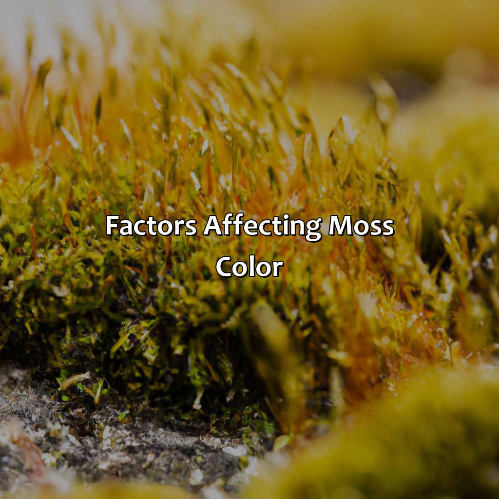 Factors Affecting Moss Color  - What Color Is Moss, 