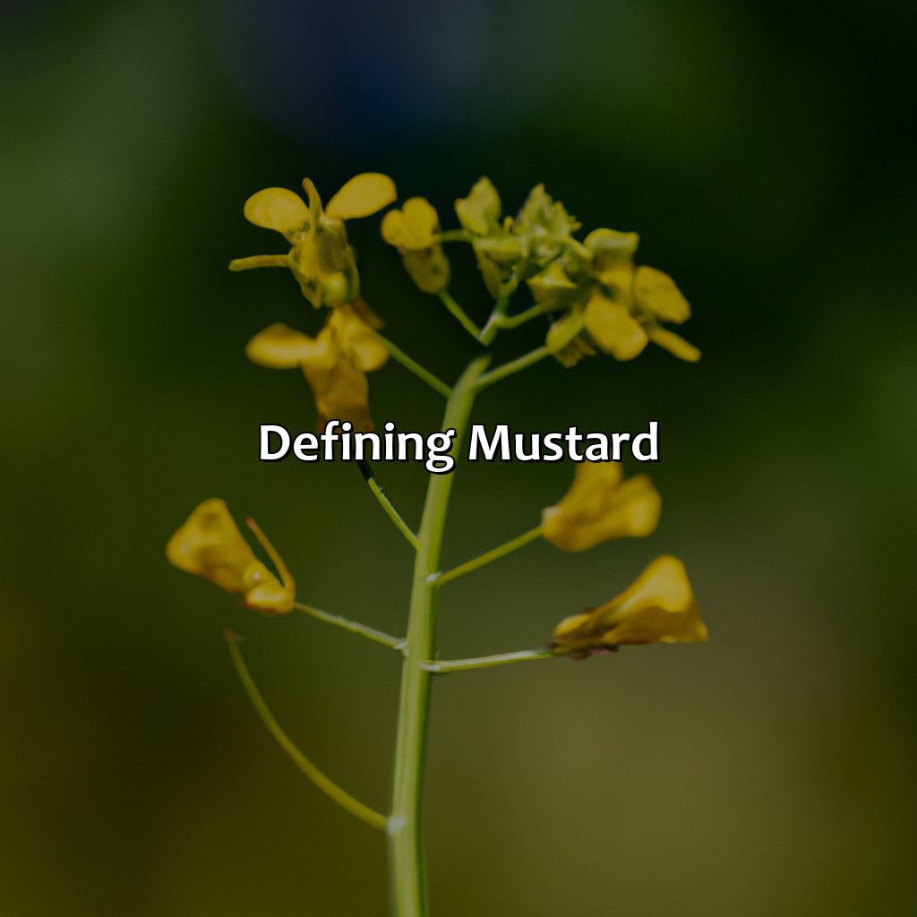 Defining Mustard  - What Color Is Mustard, 